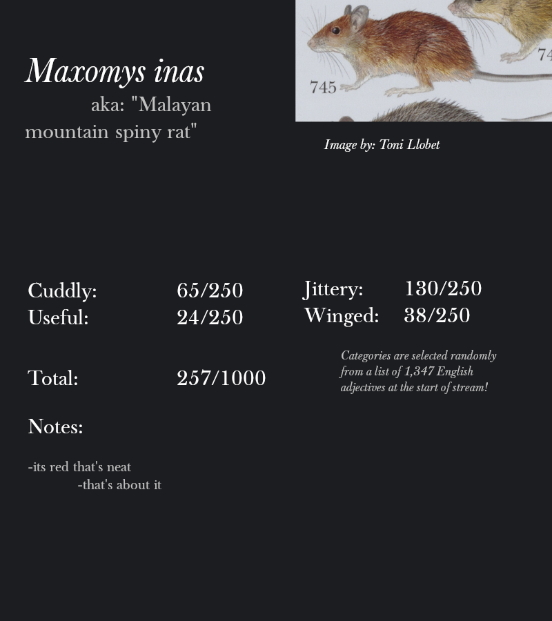 Maxomys inas